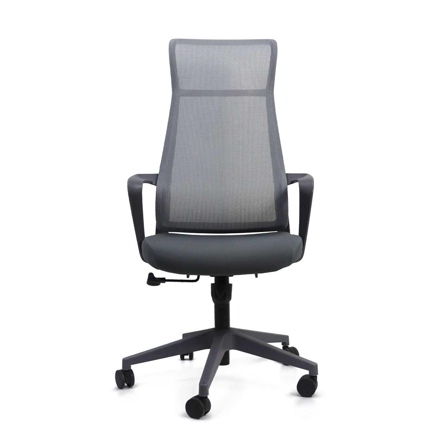 BECCHIA FRONTAL1400x1400